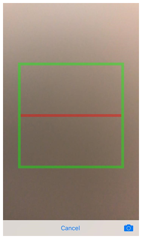 scan 4.png